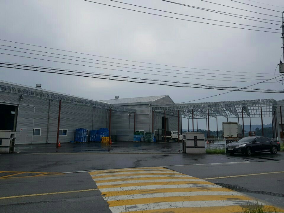 1505439198851.jpeg